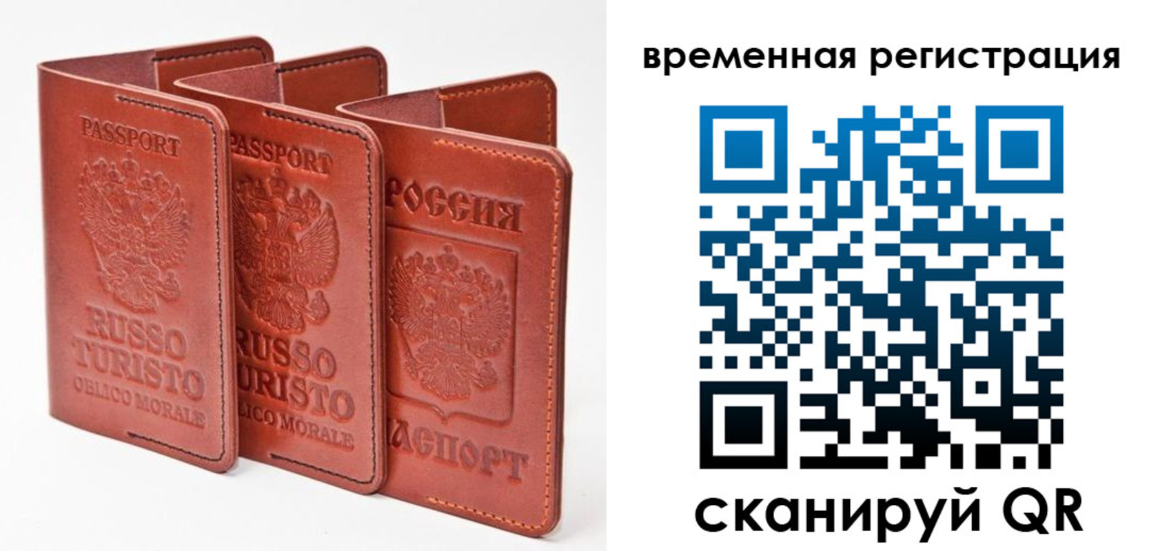 прописка 2025 в Кольчугино